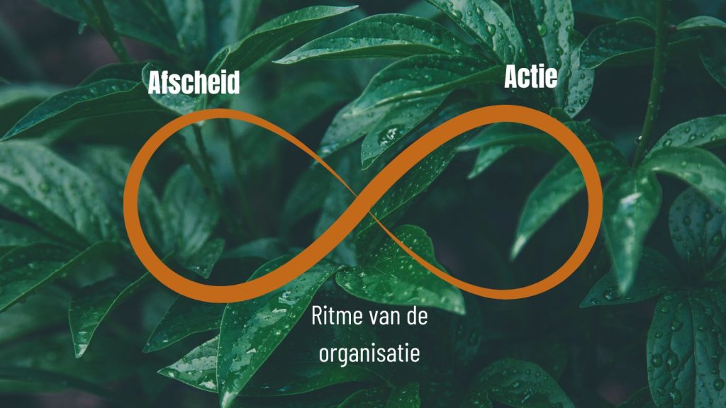 Ritme van organisaties